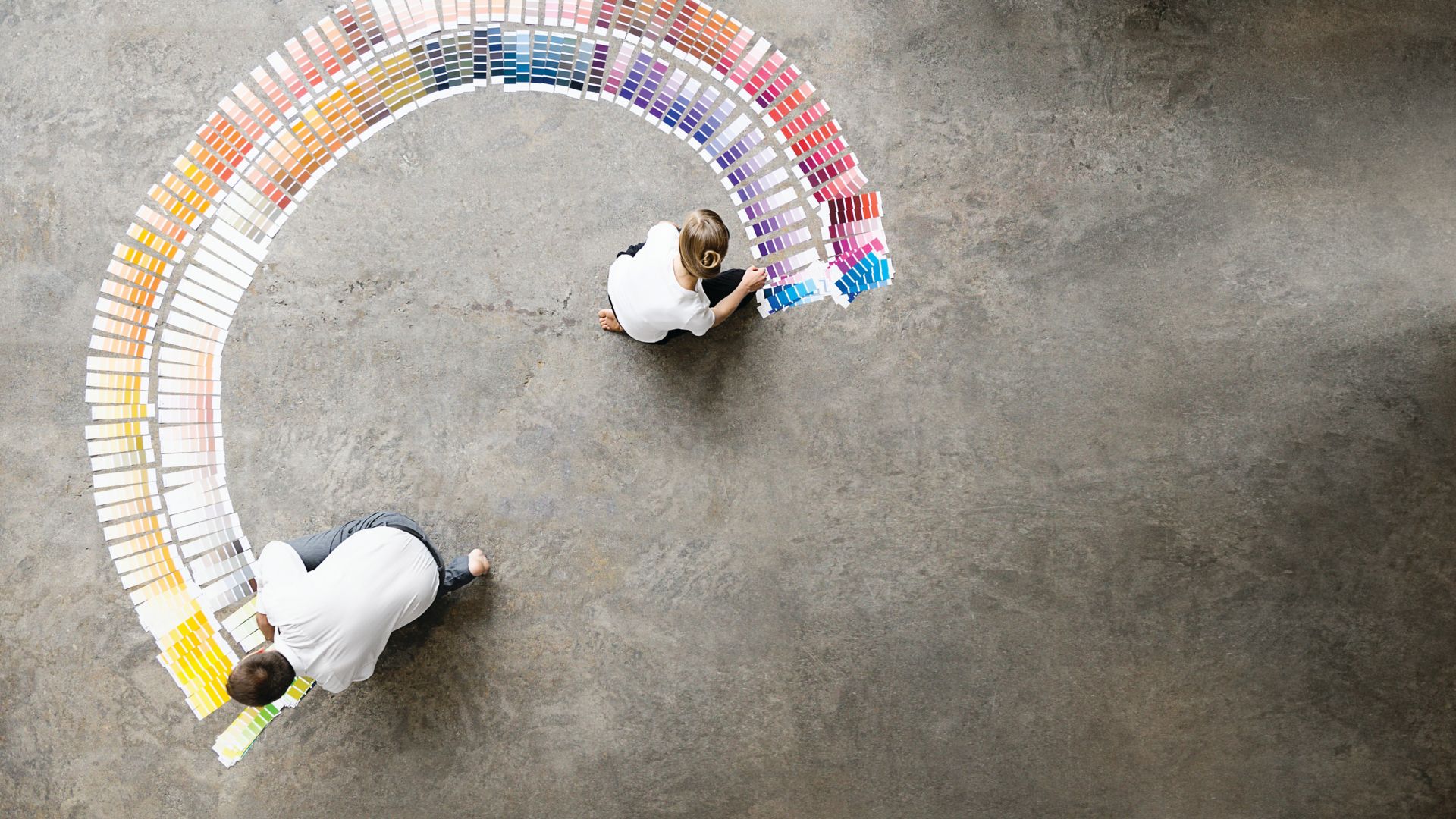 Business people examining paint swatches