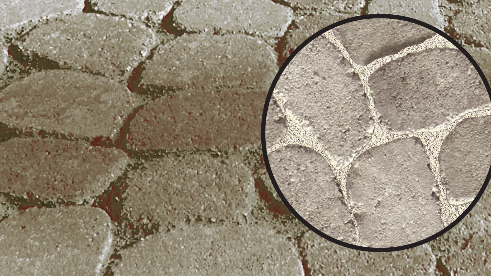 paver image