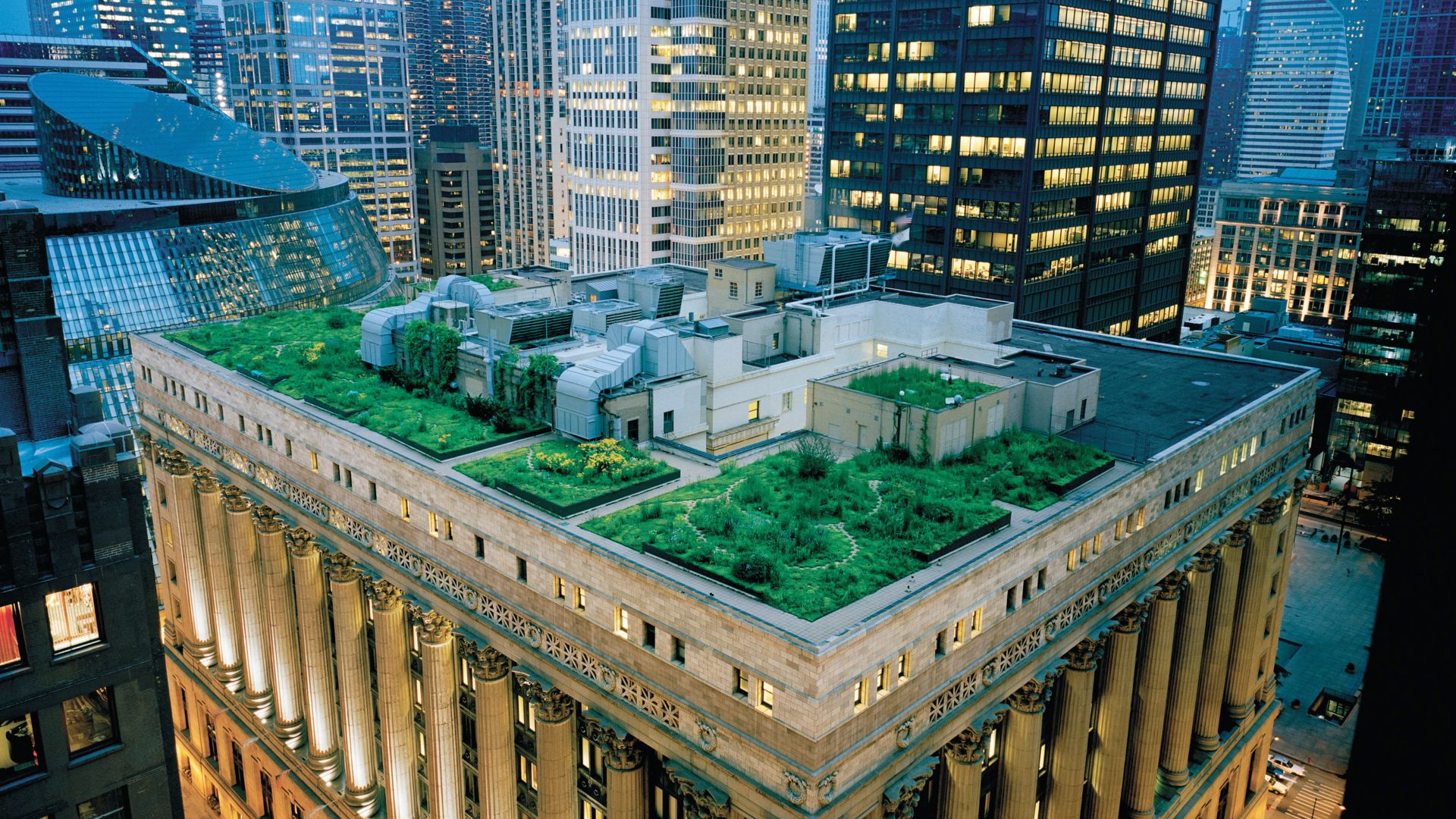 Green roof with single-ply membrane installed on Chicago City Hall