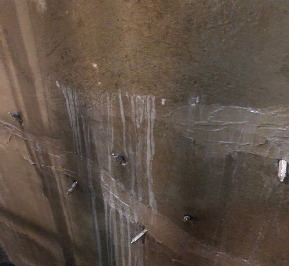 Application_sika注射310.