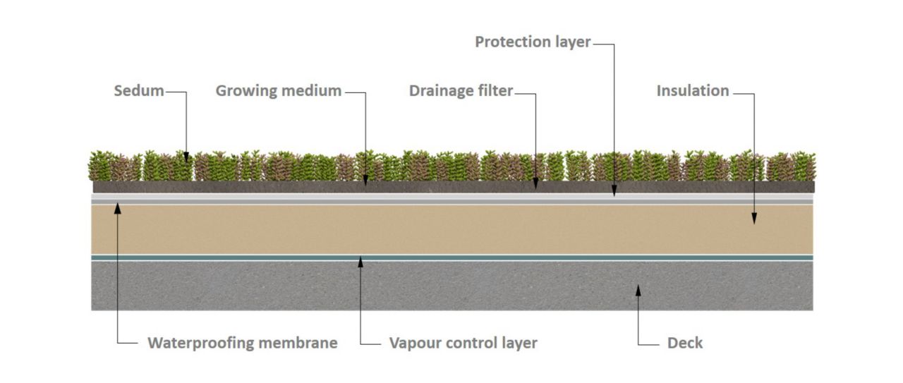 Green Flat Roofs