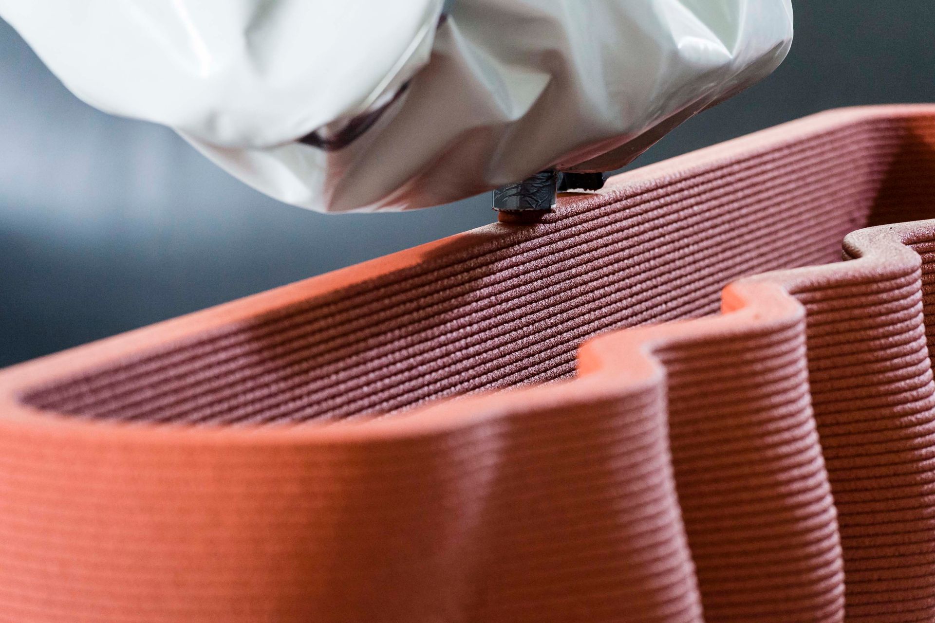 （c）Alexandra Pauli