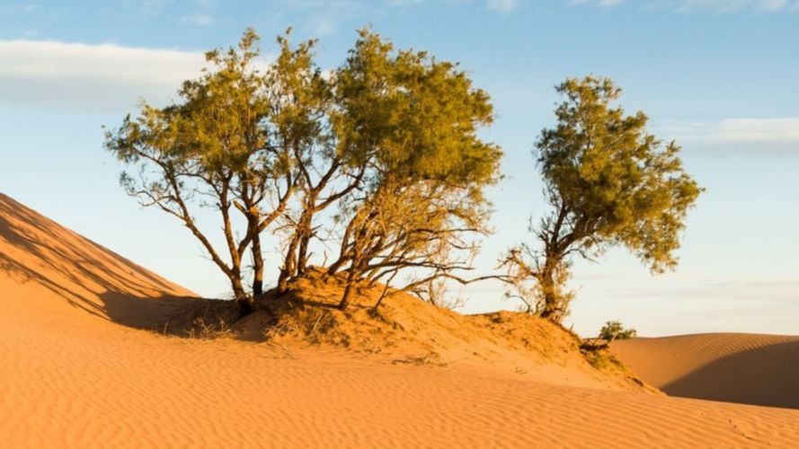 Sunrise at the dunes at Mhamid