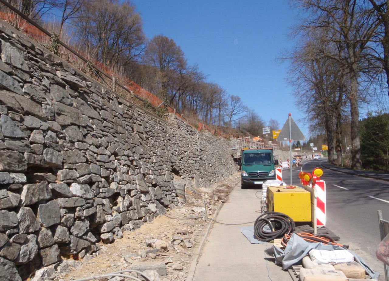 Aliva Converto Repro申请