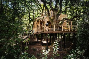 The treehouse is a private kingdom