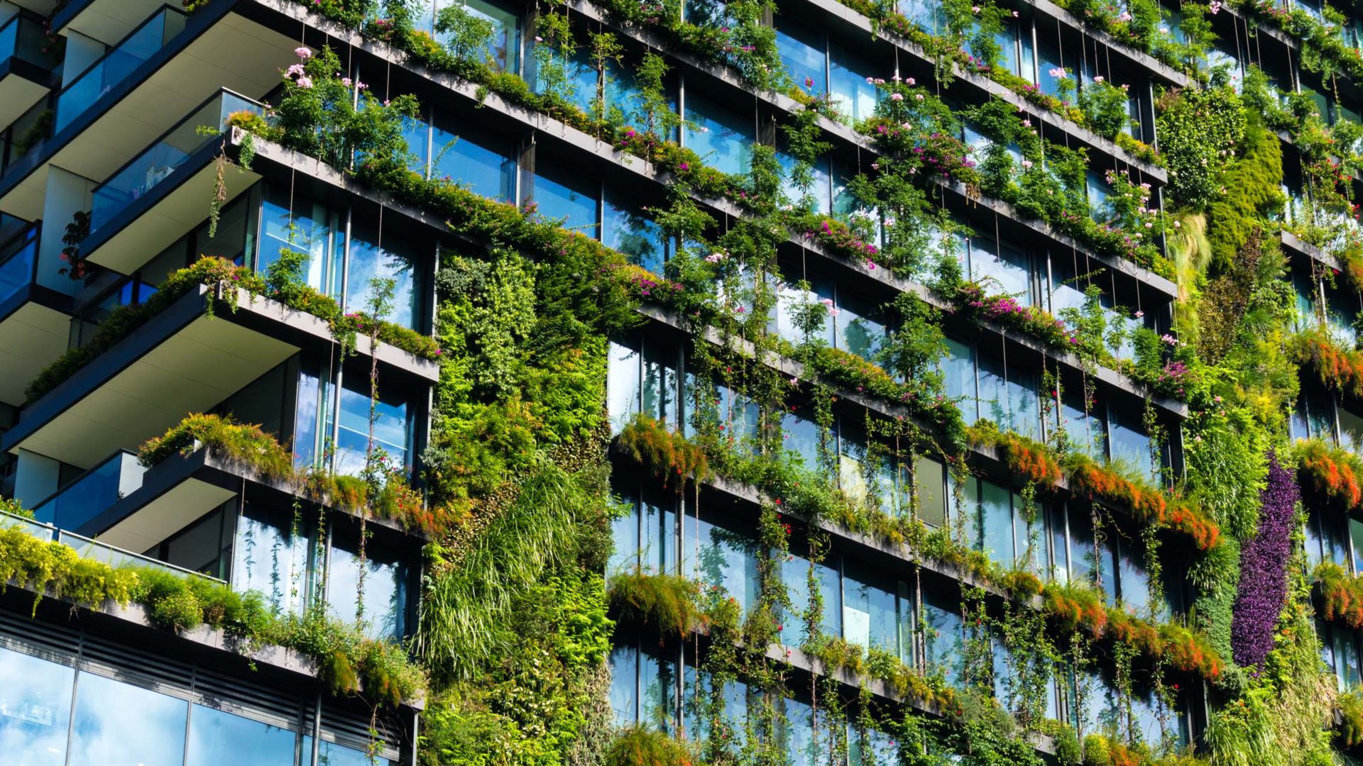 Green skyscraper building with plants growing on the facade. Ecology and green living in city, urban environment concept. Park in the sky, One central park building, Sydney, Australia
