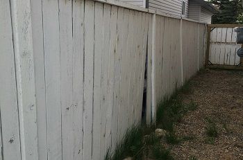 Broken Fence