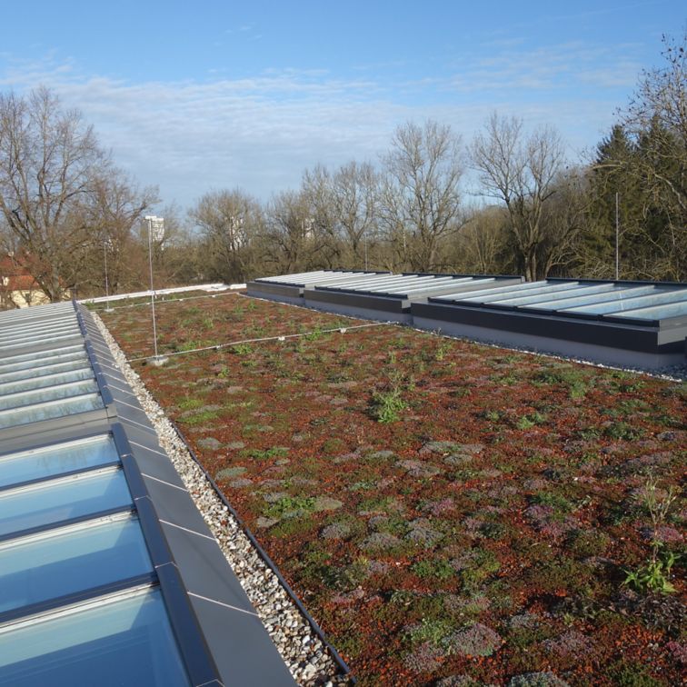Roofing: Zoo Augsburg