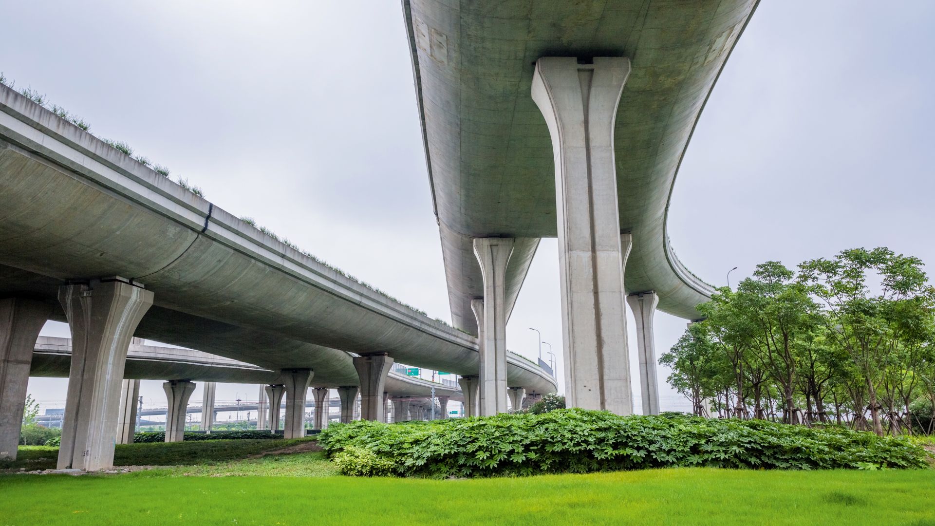 Intersecting lines of shanghai's overground / underground train system.