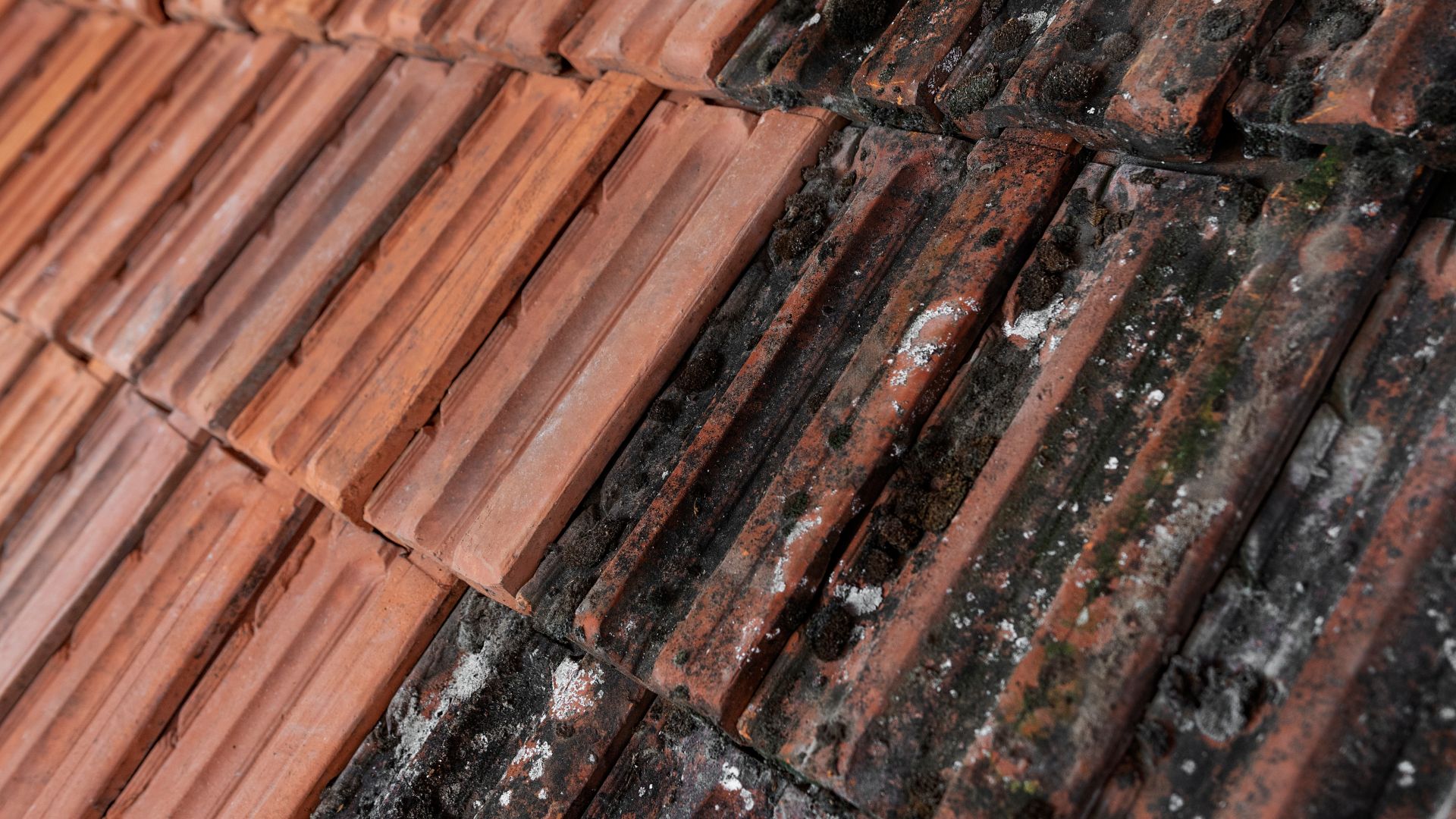 Photography of washed and non-washed roof tiles. Tiles covered with lichen, mould and moss and cleaned tiles. Close-up. Black and orange tiles. Old and new.