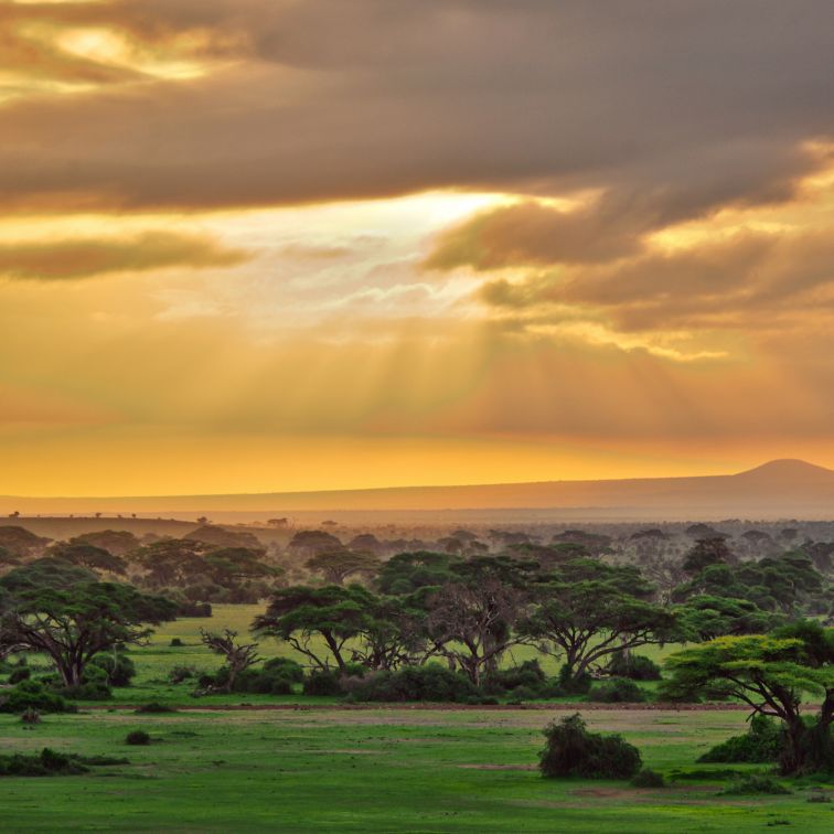Tanzania is a land of superlatives, from haunting landscape to one of the greatest wildlife spectacles on the planet