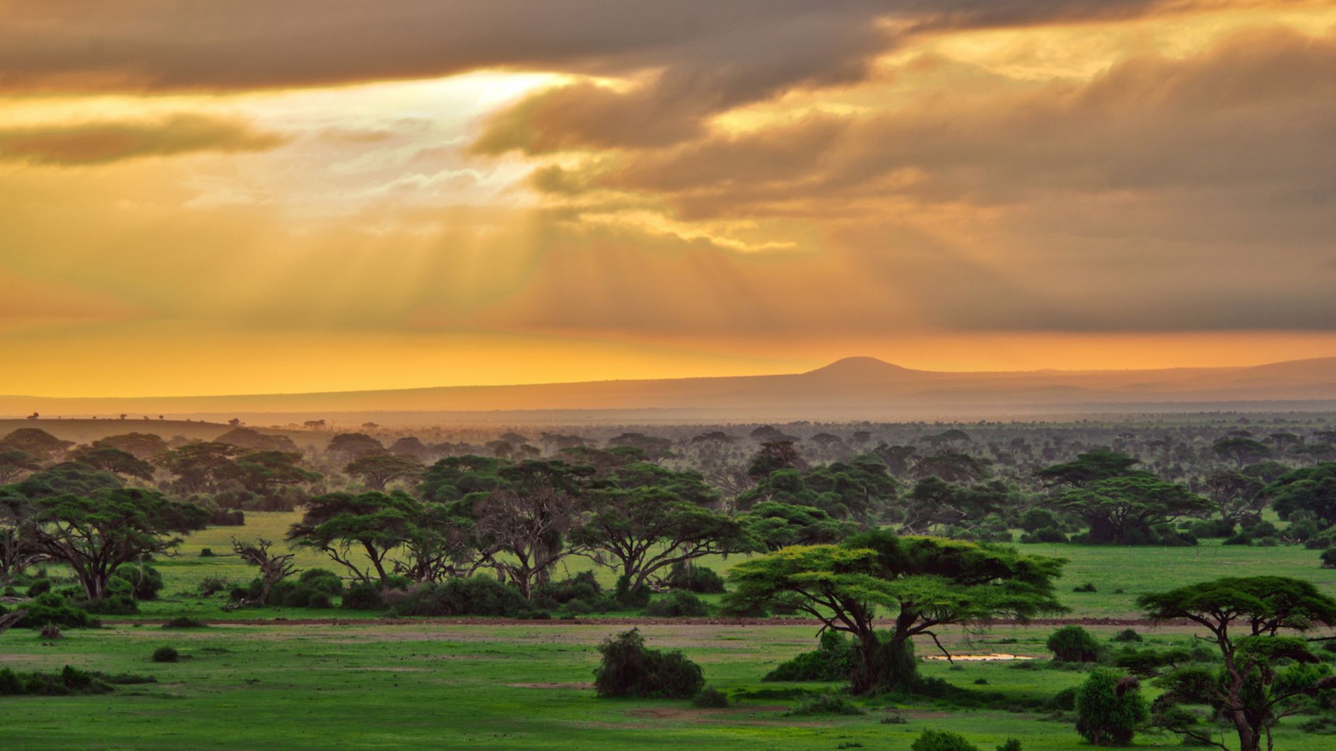 Tanzania is a land of superlatives, from haunting landscape to one of the greatest wildlife spectacles on the planet
