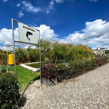 梅卡哥伦比亚养鱼