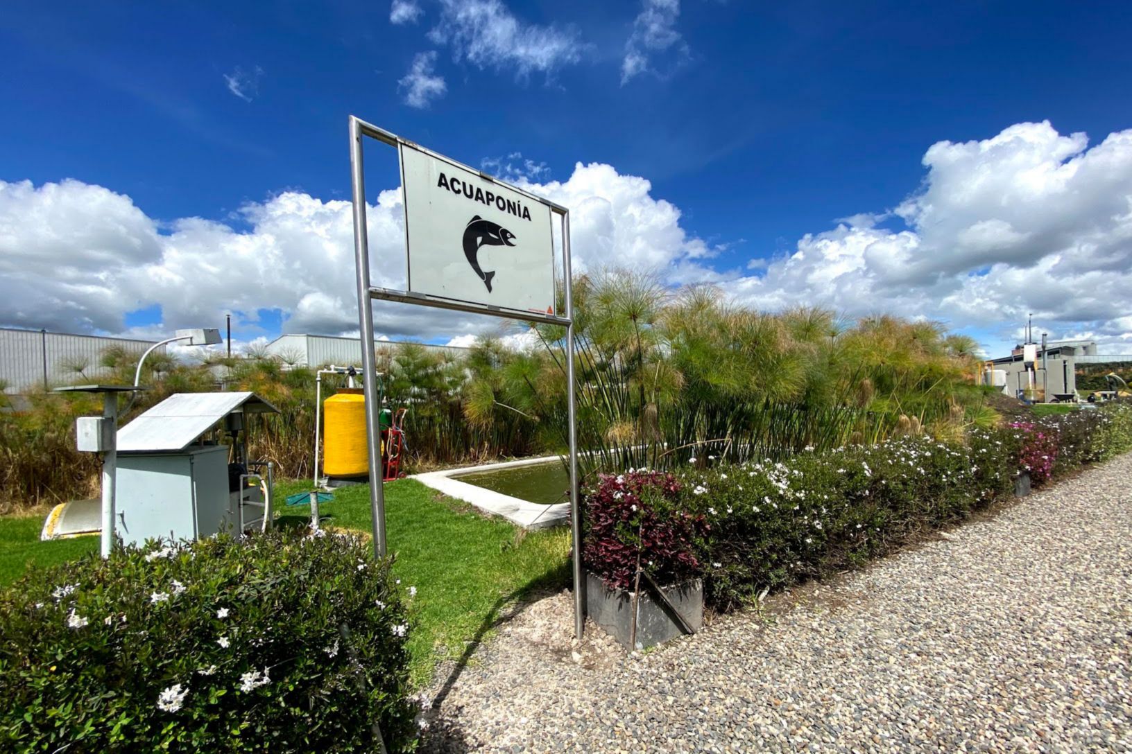 梅卡哥伦比亚养鱼