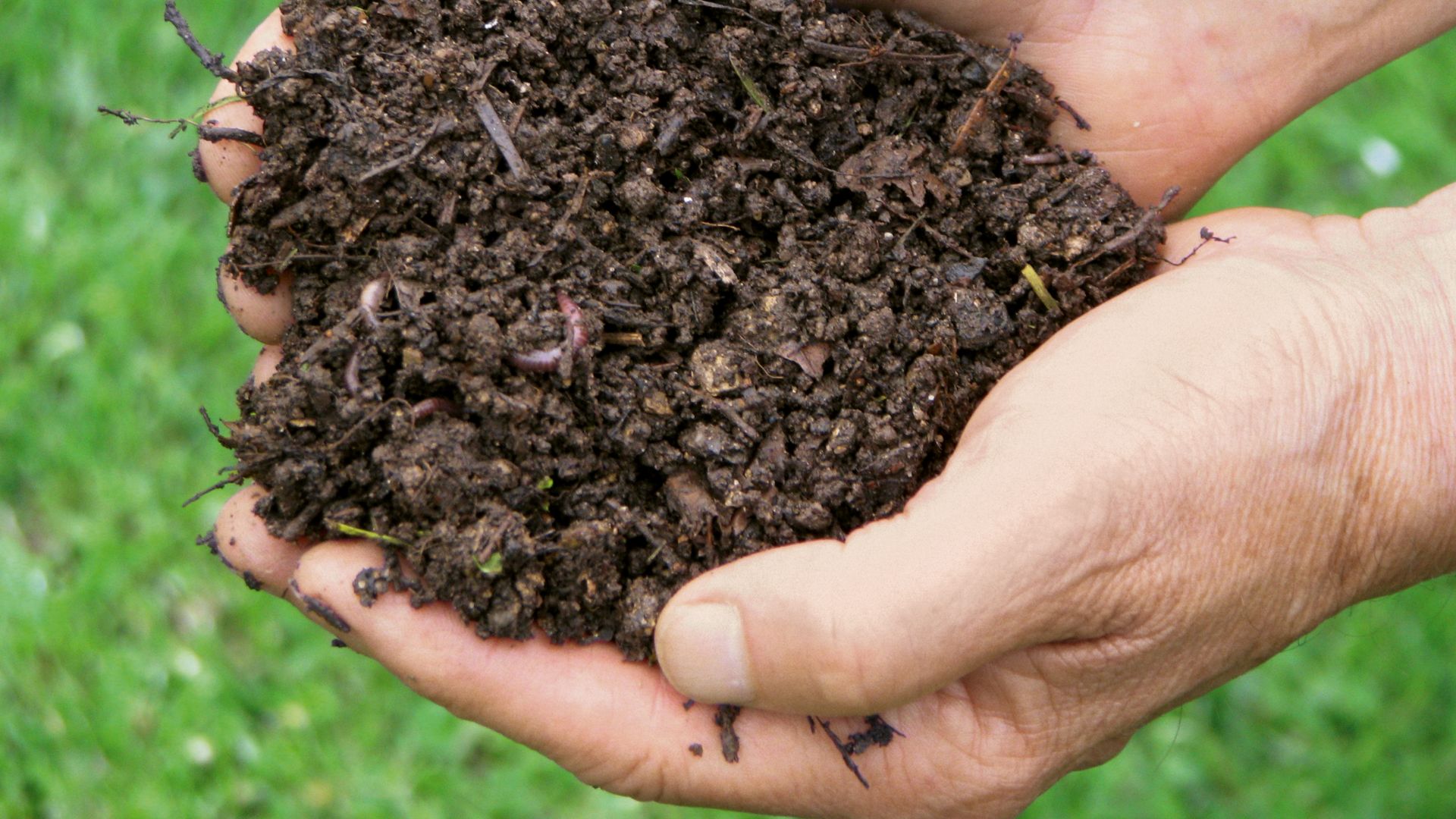 Earth in Hands