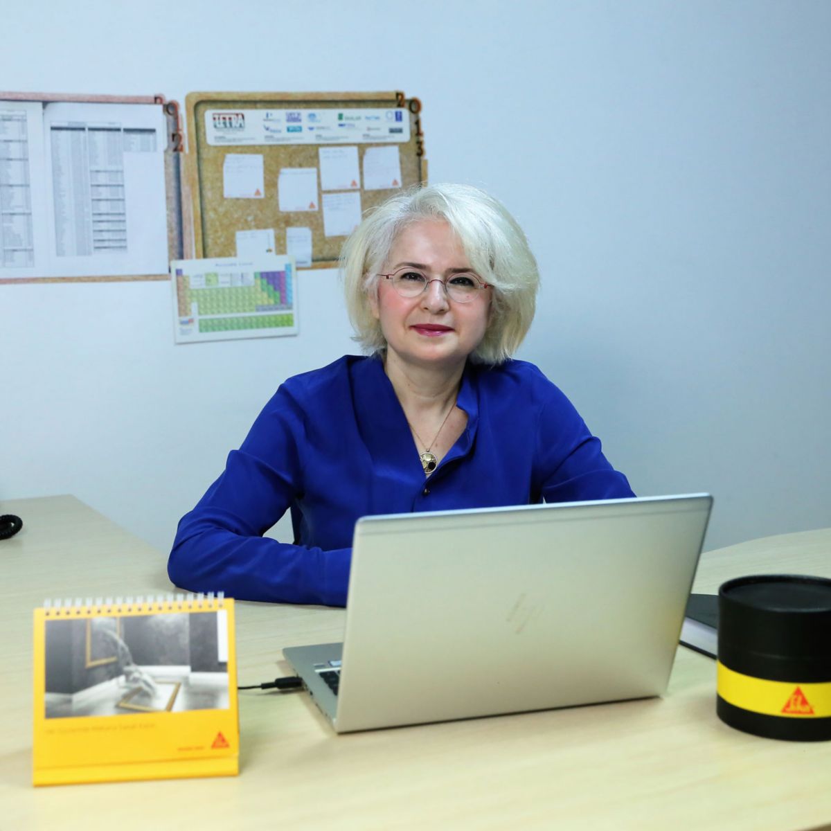 Nazmiye Parlak - The Power of Data