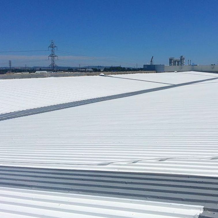 Roof of an Aircraft Factory in Cadiz 