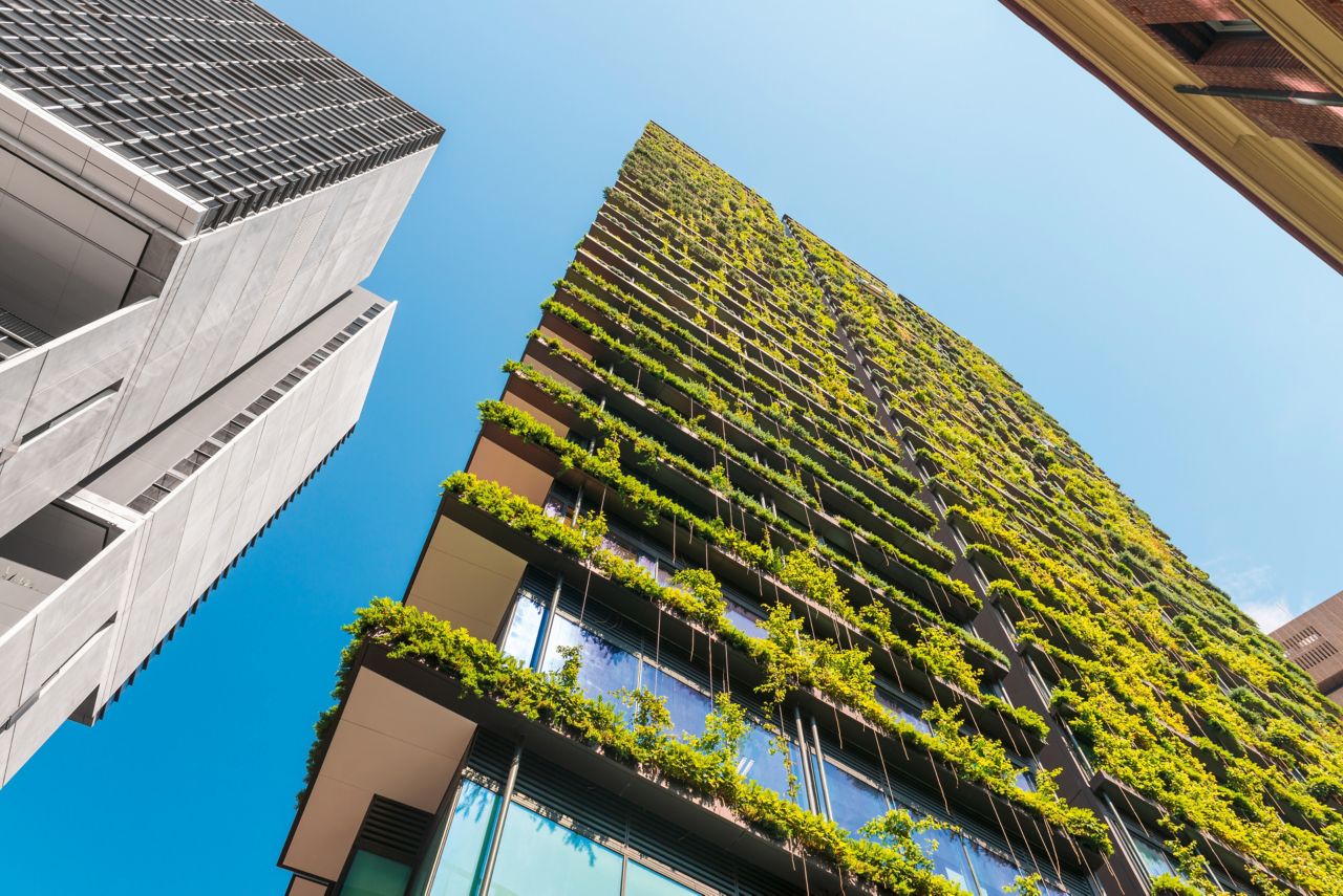 合作WBCSD和梅花鹿