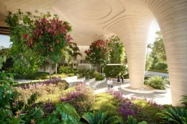 锡卡作为推动者