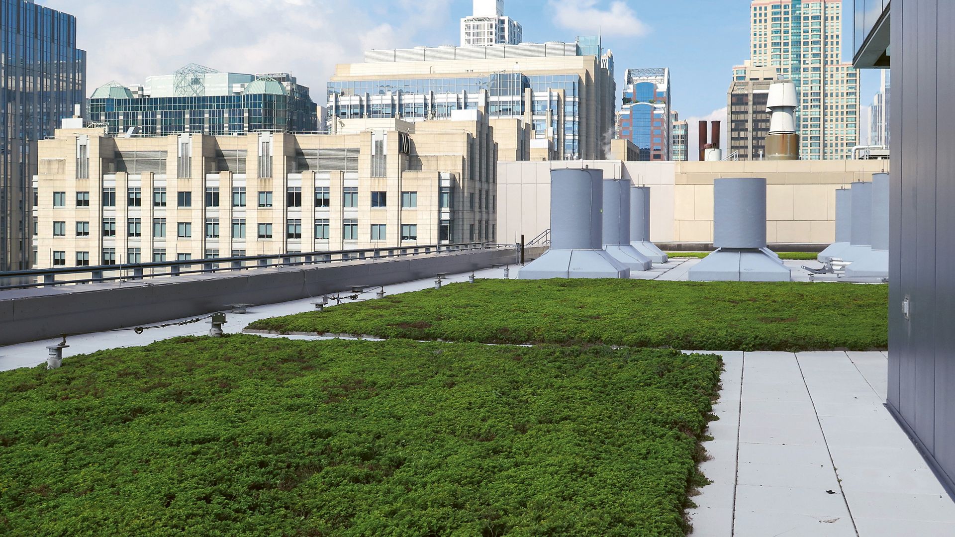 The green roof of Northwestern University’s Simpson Querrey Biomedical Research Center in Chicago
