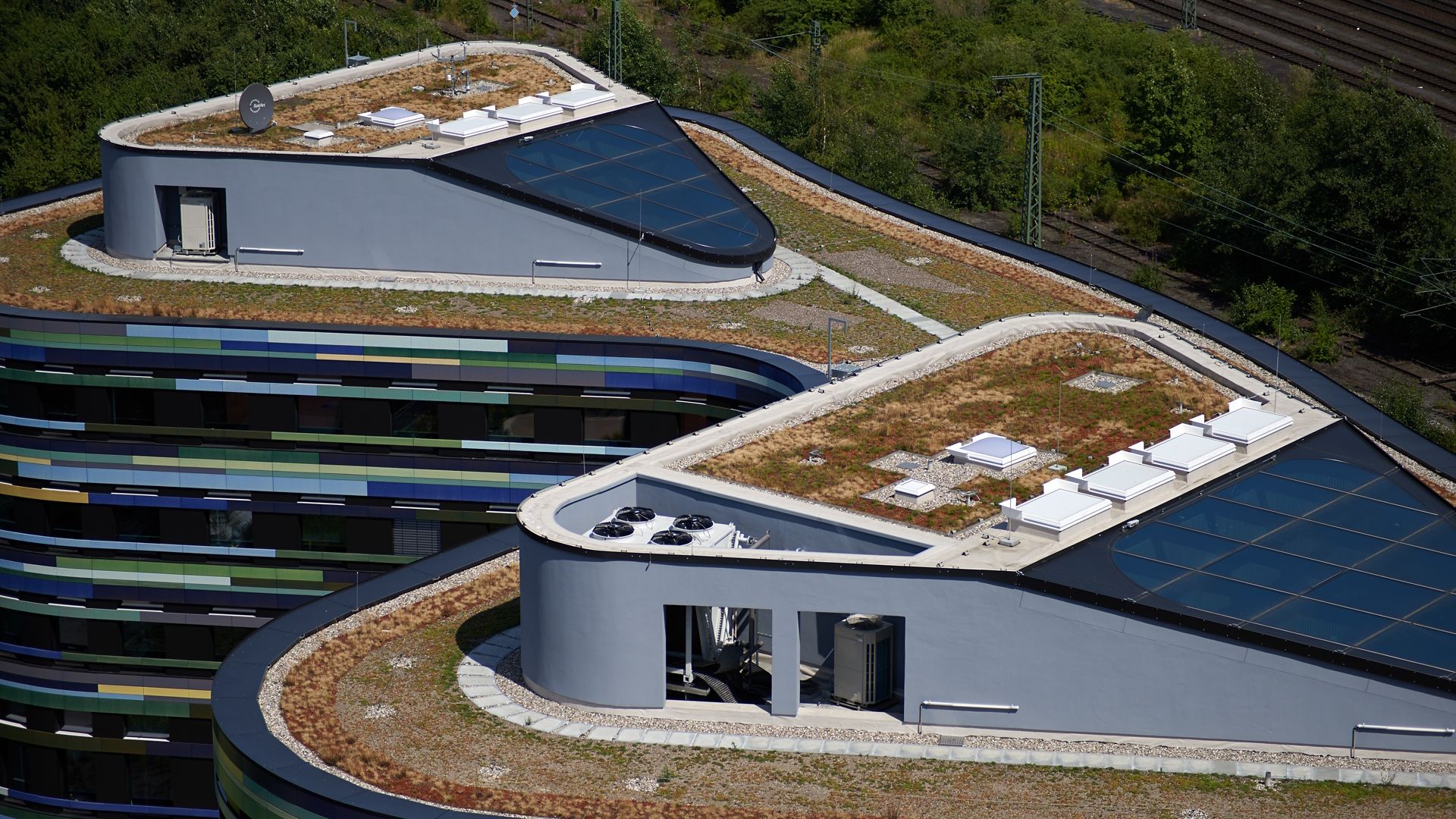 Green roof of the BSU building in Hamburg Germany