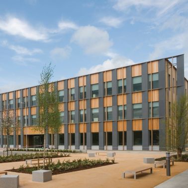 外观与梅花鹿信封系统构建