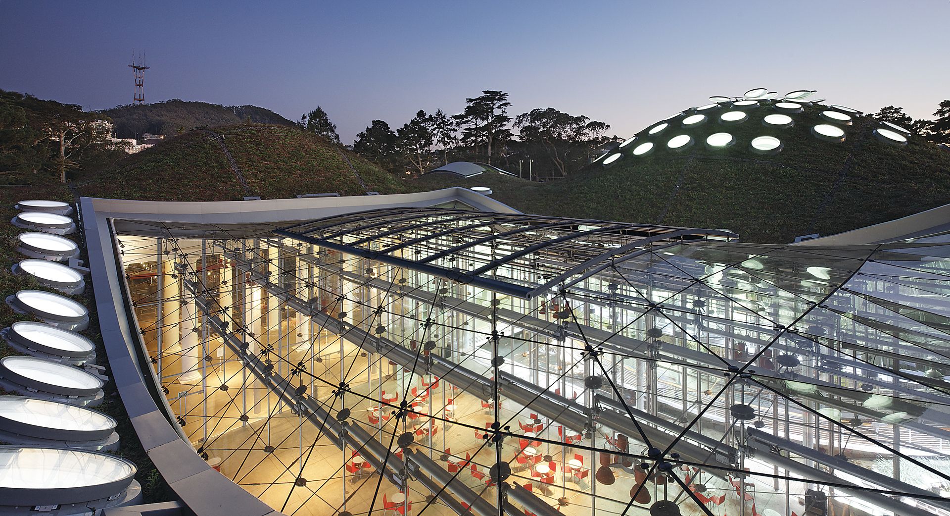 California Academy of Science | Sika