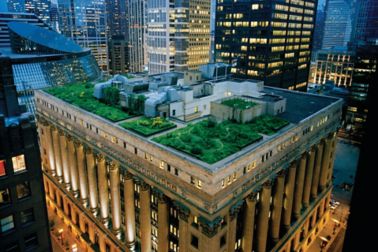 Green roof with single-ply membrane installed on Chicago City Hall