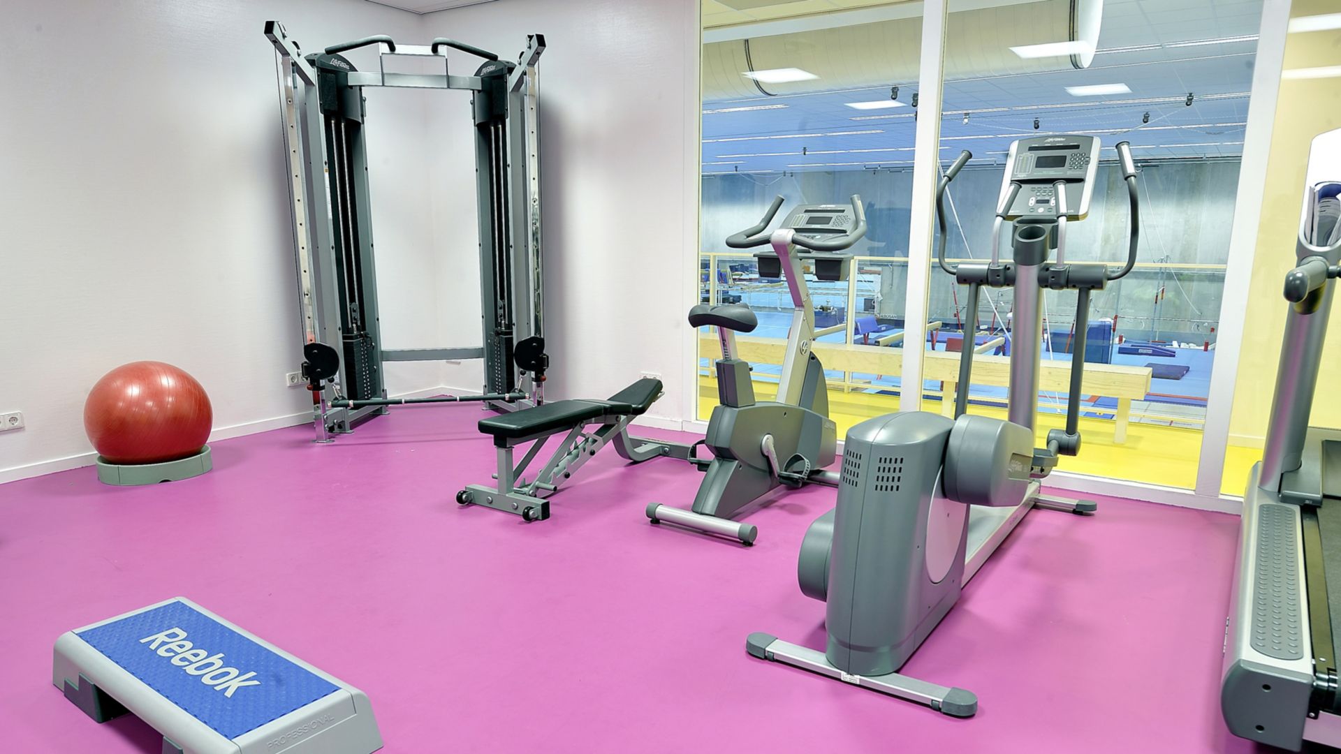 Sika ComfortFloor® pink floor in fitness room gym workout machines