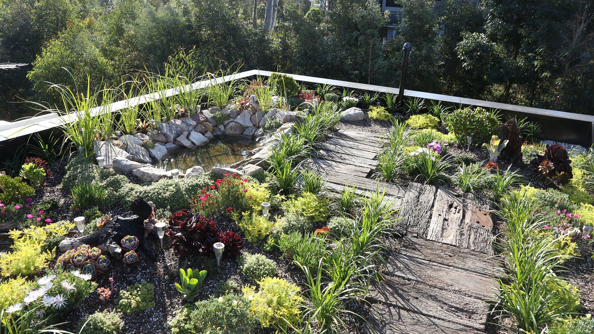 The green roof of the Forest Lodge Eco Home in Sydney, Australia