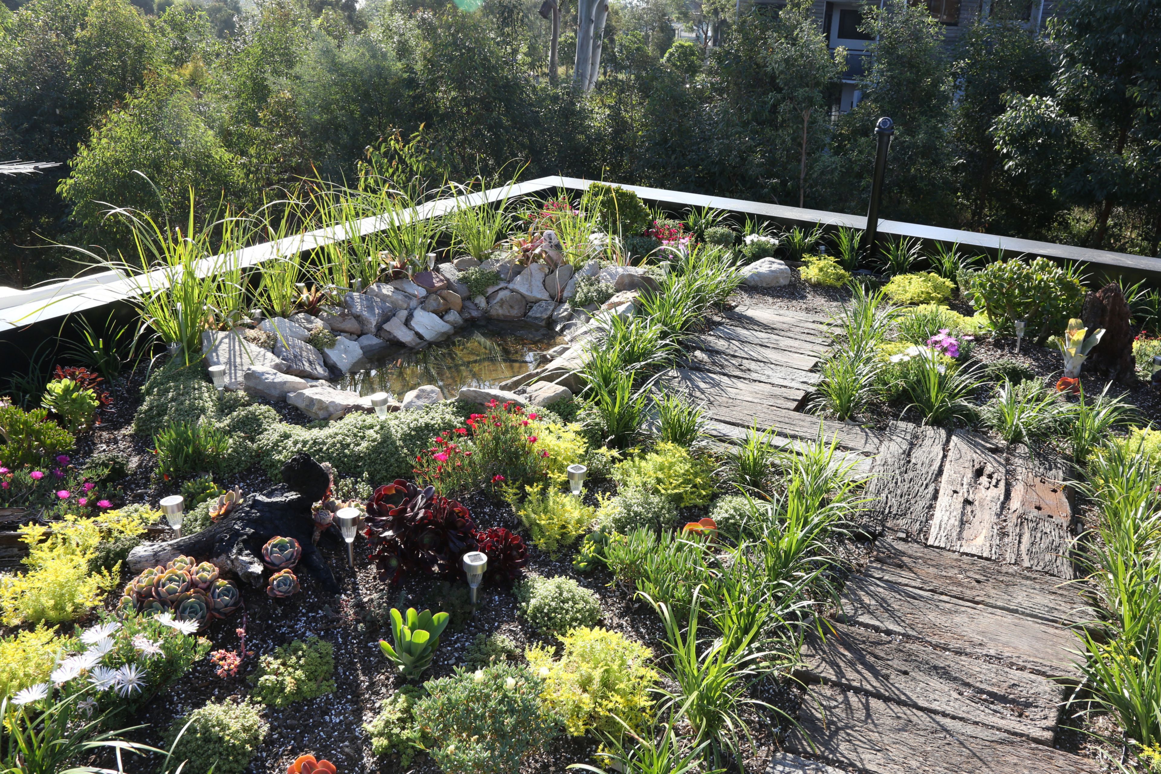 The green roof of the Forest Lodge Eco Home in Sydney, Australia