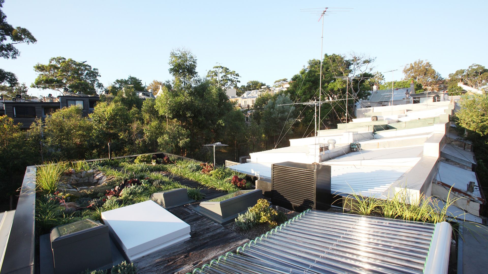 The green roof of the Forest Lodge Eco Home in Sydney, Australia