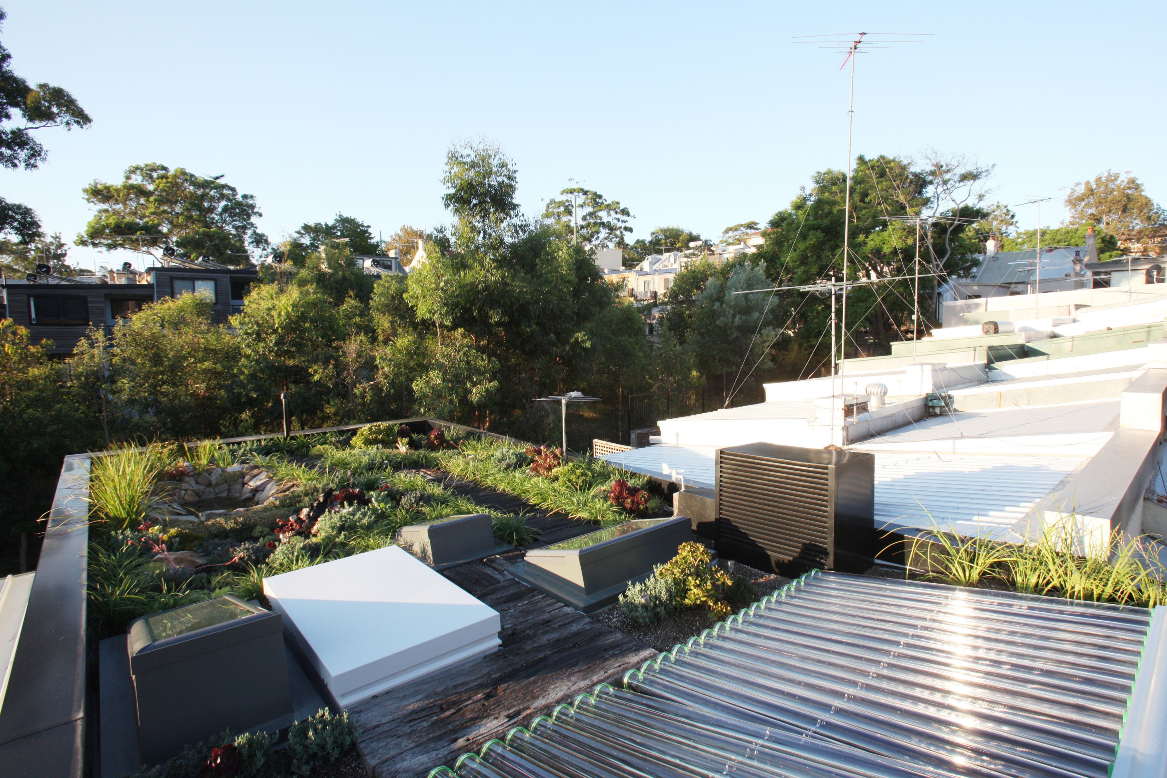 The green roof of the Forest Lodge Eco Home in Sydney, Australia