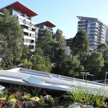 The green roof of the Forest Lodge Eco Home in Sydney, Australia