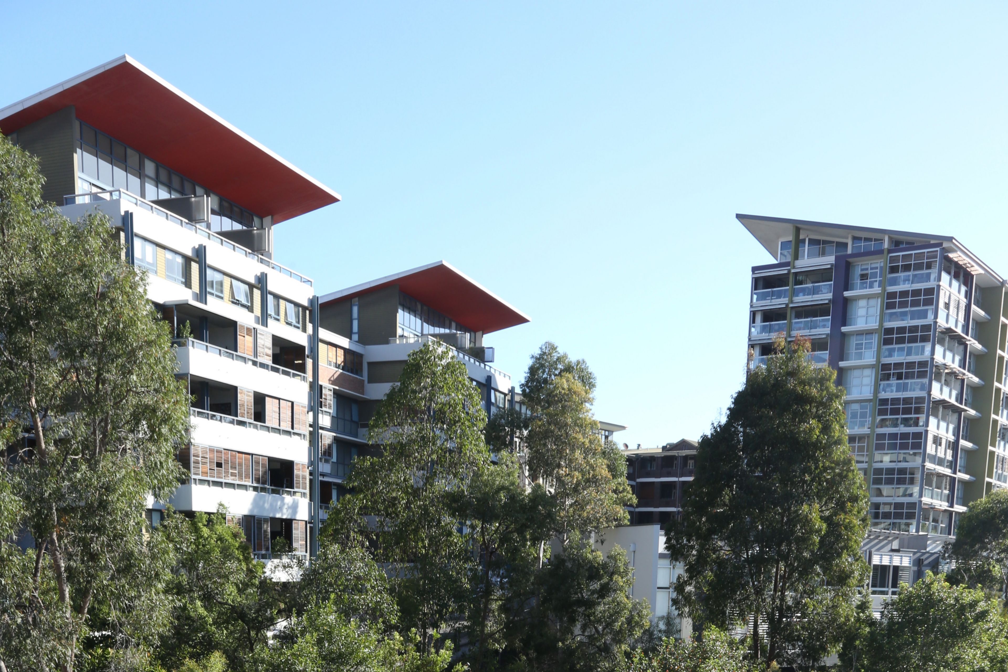 The green roof of the Forest Lodge Eco Home in Sydney, Australia