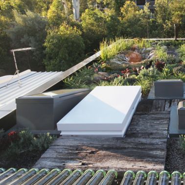 The green roof of the Forest Lodge Eco Home in Sydney, Australia