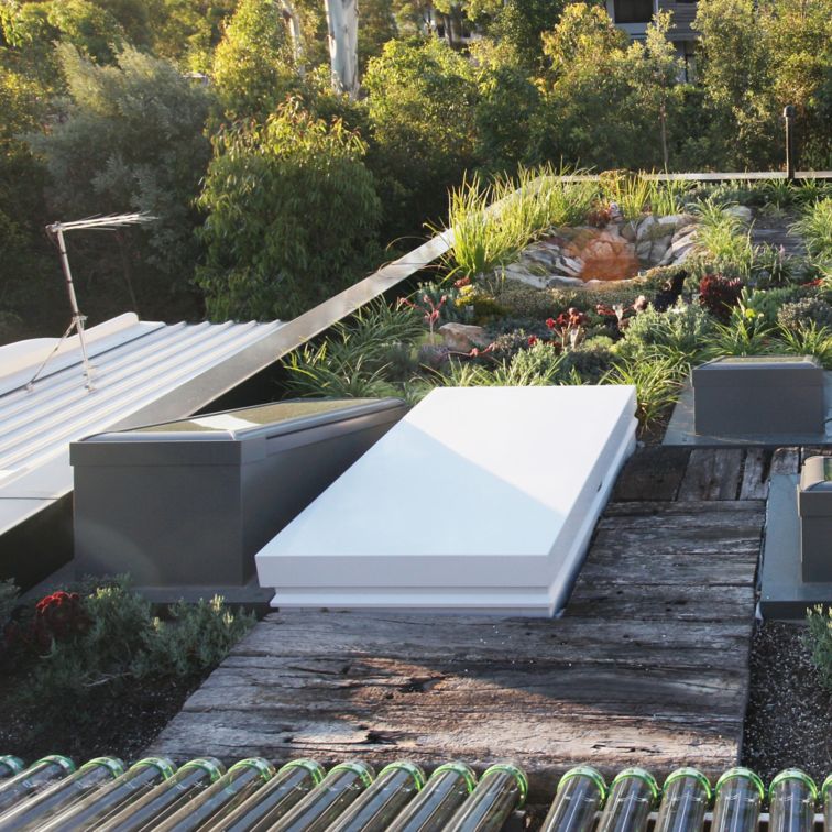 澳大利亚悉尼森林小屋生态家园的绿色屋顶