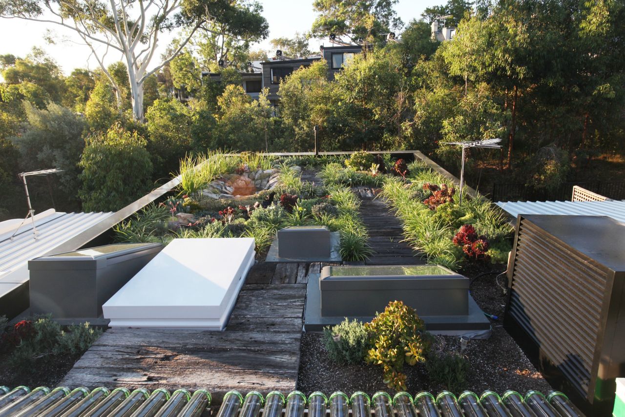 The green roof of the Forest Lodge Eco Home in Sydney, Australia