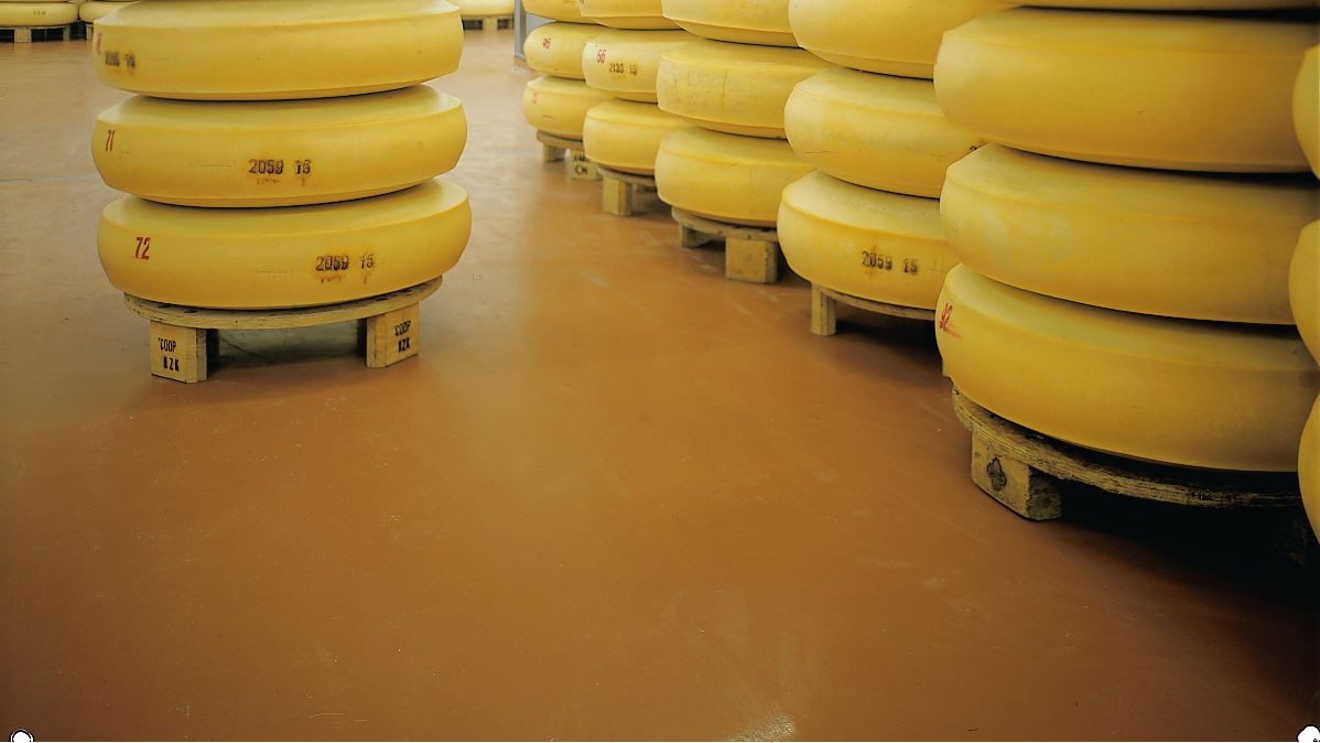 Sika Industrial Floor in Cheese Factory