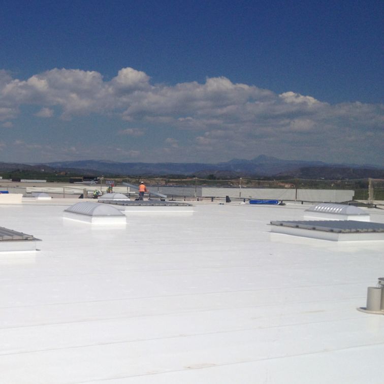 Roofing work at Fruit Packaging House of Frutinter Company