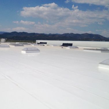 Roofing work at Fruit Packaging House of Frutinter Company