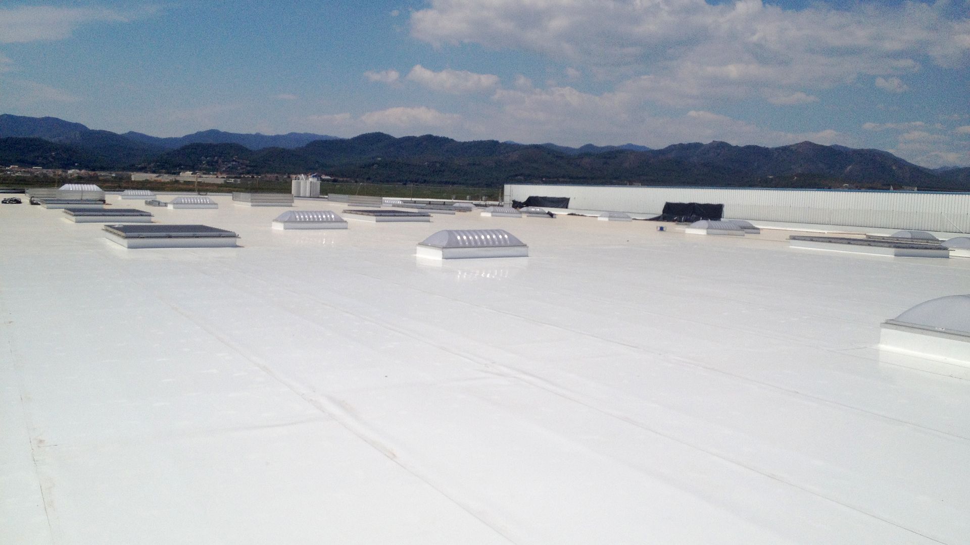 Roofing work at Fruit Packaging House of Frutinter Company