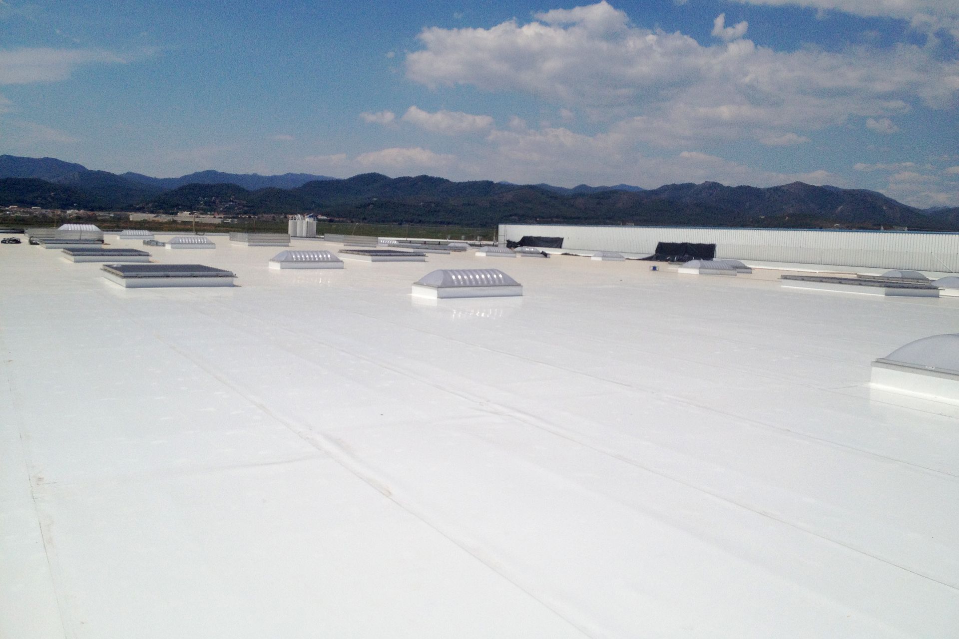 Roofing work at Fruit Packaging House of Frutinter Company