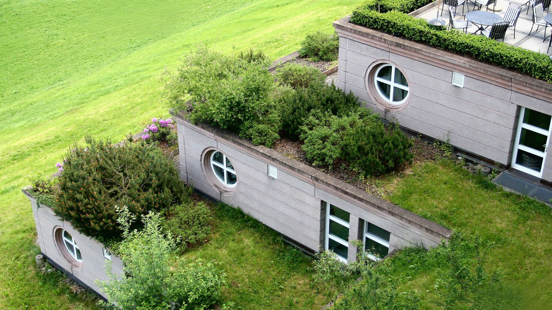 Green roof with single-ply membrane
