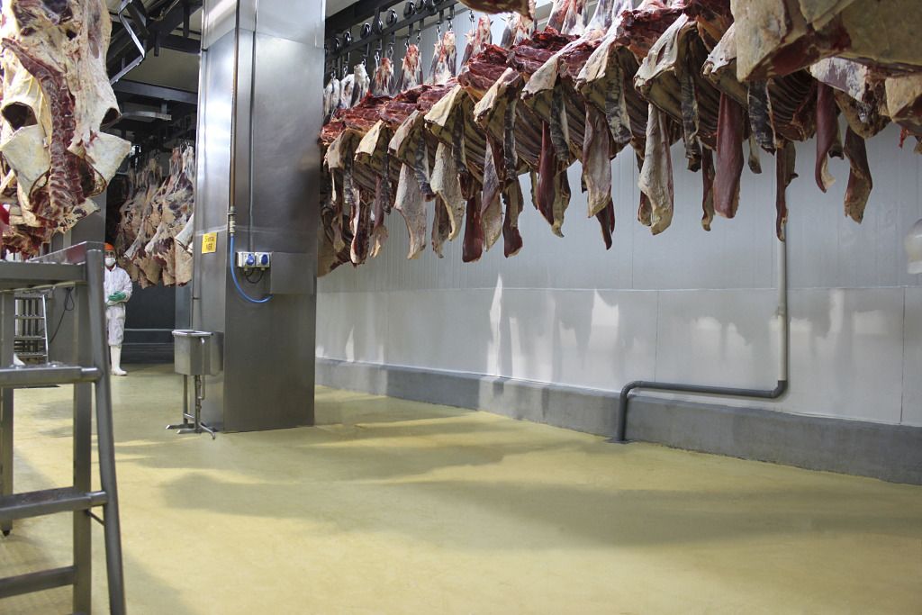 Hygienic Floor in Meat Processing Plant