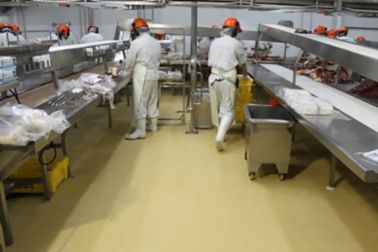 Industrial floor coating with Sikafloor resin cementitious flooring system in food facility