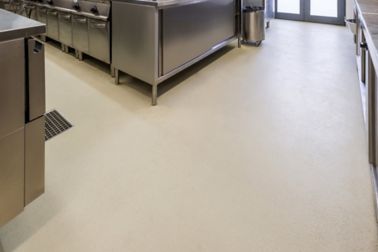 工业地板涂层配有西克菲尔树脂树脂水泥地板系统的食品设施