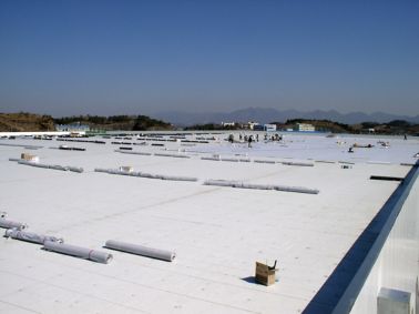 奥林巴斯数码相机