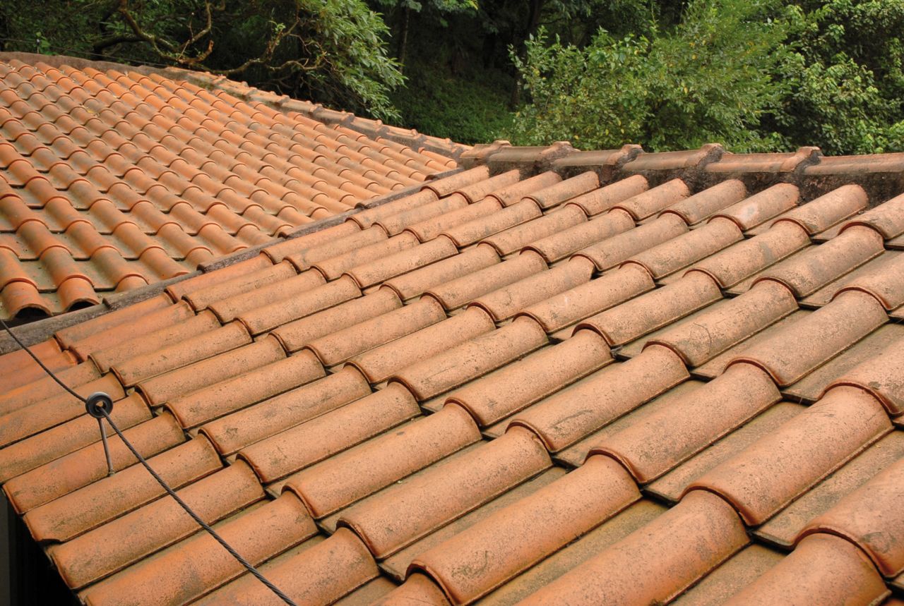 Liquid applied membrane substrate roof tiles