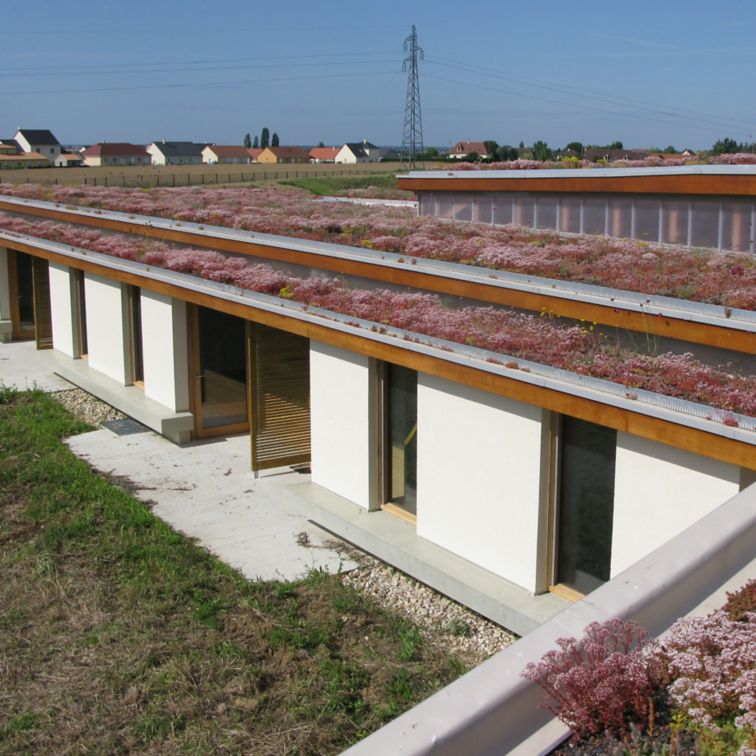一个养老院的绿色屋顶在法国